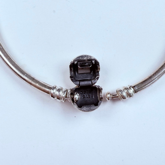 Pandora Moments Bangle Sterling Silver Bracelet with Chef Cooking Bake Hat Charm - Picture 6 of 8